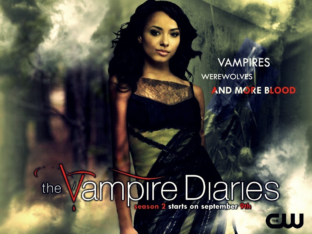 season-2-wallpaper-the-vampire-diaries-15232947-1024-768